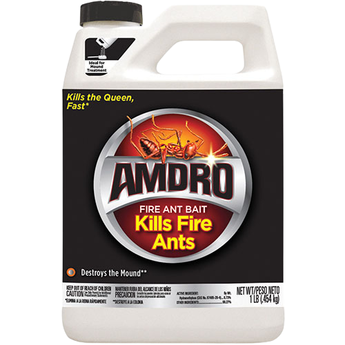 Best online ant killer